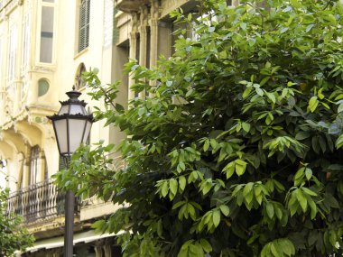 Palermo Sicilya Adası'İtalya