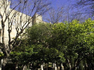 Palermo Sicilya Adası'İtalya