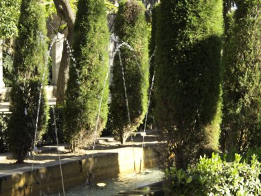 Palermo Sicilya Adası'İtalya