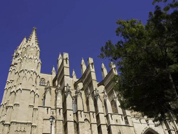 Palma Maiorca Spagna — Foto Stock