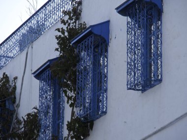 Tunus Tunus city