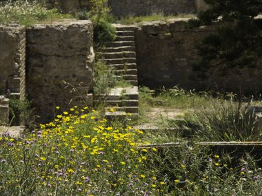 Tunus Tunus city