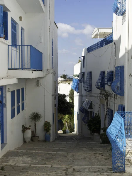 Den Staden Tunis Tunisien — Stockfoto