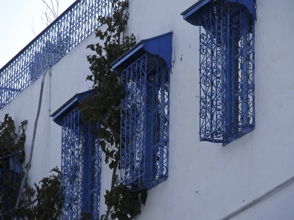 Stad Van Tunis Tunesië — Stockfoto