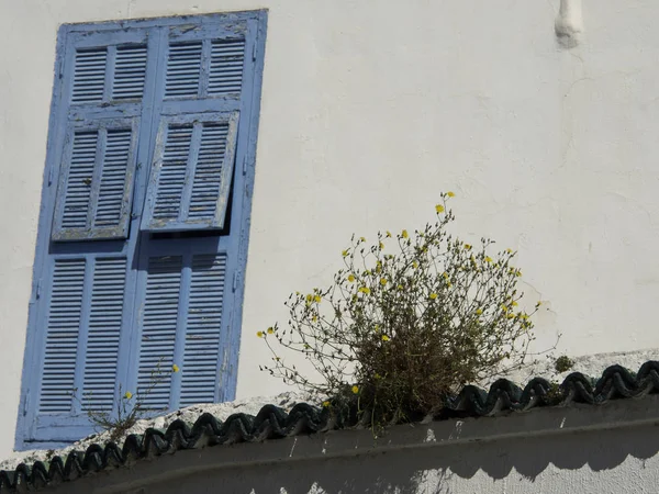 Stad Van Tunis Tunesië — Stockfoto