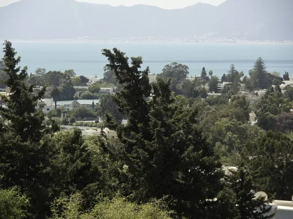 Den Staden Tunis Tunisien — Stockfoto