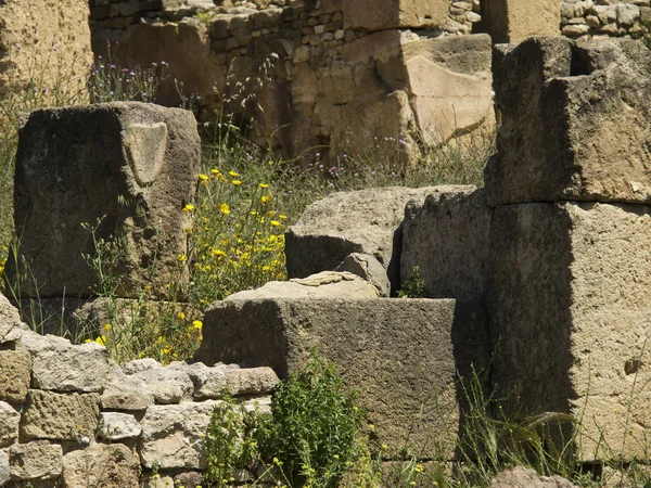 Città Tunisi Tunesia — Foto Stock