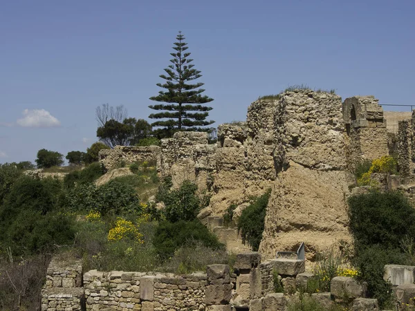 Stad Van Tunis Tunesië — Stockfoto