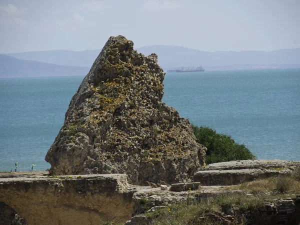 Město Tunis Tunisko — Stock fotografie