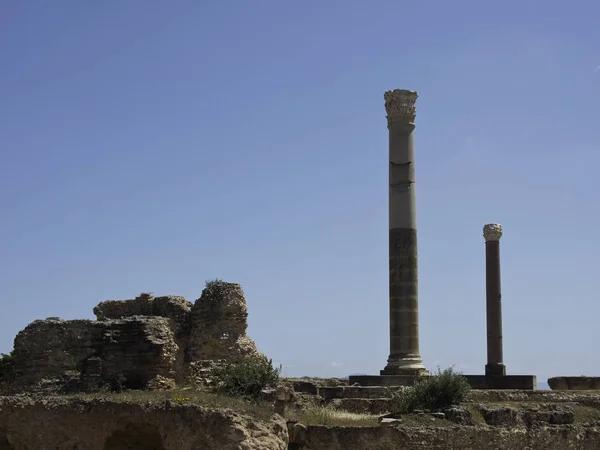 Stad Van Tunis Tunesië — Stockfoto