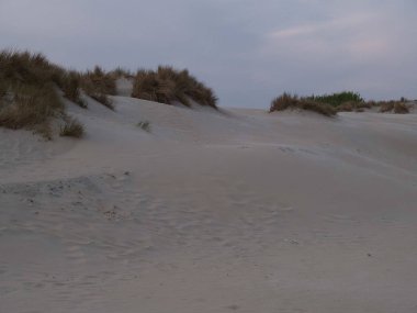 Alman Kuzey Sahili 'nde yaz mevsimi