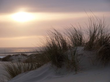 Alman Kuzey Sahili 'nde yaz mevsimi