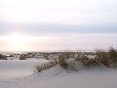 Alman Kuzey Sahili 'nde yaz mevsimi