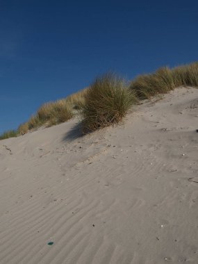 Alman Kuzey Sahili 'nde yaz mevsimi