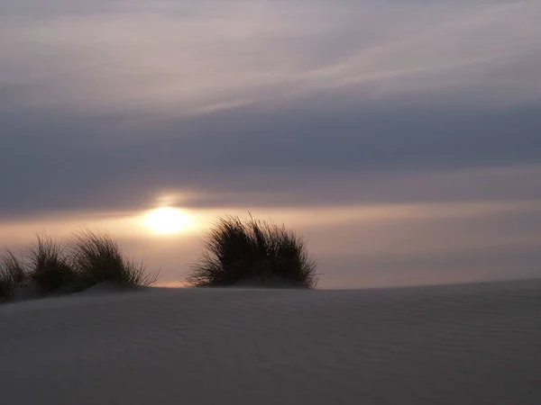 Zomertijd Aan Duitse Noordzeekust — Stockfoto