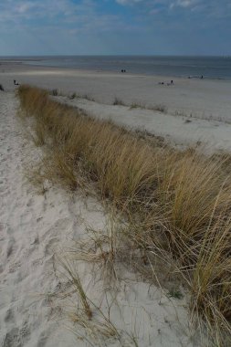 Alman Kuzey Sahili 'nde yaz mevsimi