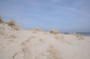 Alman Kuzey Sahili 'nde yaz mevsimi