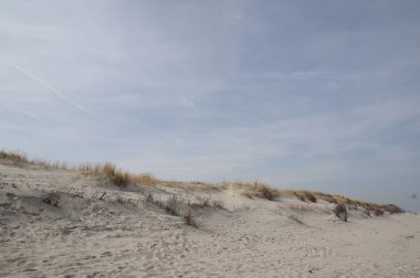 Alman Kuzey Sahili 'nde yaz mevsimi