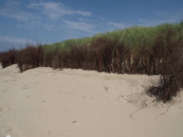 Sommerzeit Der Deutschen Nordseeküste — Stockfoto