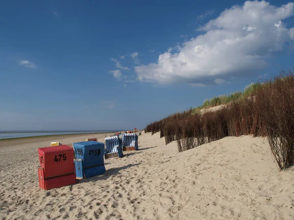 Lato Niemieckim Wybrzeżu Morza Północnego — Zdjęcie stockowe