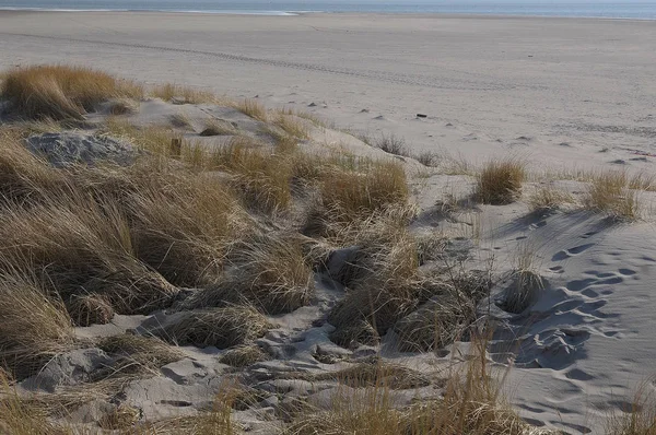 Sommerzeit Der Deutschen Nordseeküste — Stockfoto