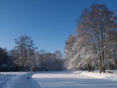 Alman Kuzey Sahili 'nde yaz mevsimi