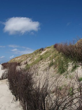 Alman Kuzey Sahili 'nde yaz mevsimi