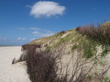 Alman Kuzey Sahili 'nde yaz mevsimi