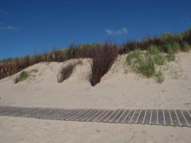 Alman Kuzey Sahili 'nde yaz mevsimi