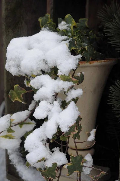 Winterzeit Deutschland — Stockfoto