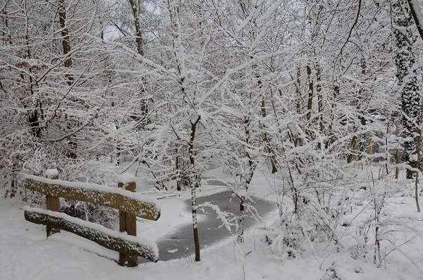 Winter Time Germany — Stock Photo, Image