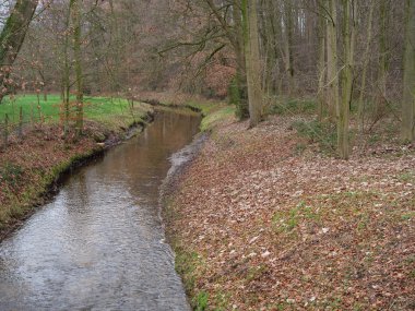 kale ve Alman muensterland ormanda