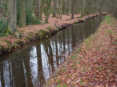 kale ve Alman muensterland ormanda