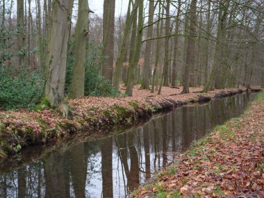 kale ve Alman muensterland ormanda