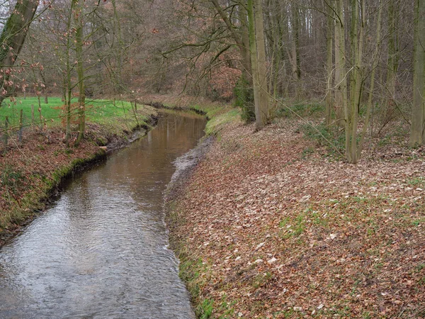 Schloss Und Wald Deutschen Münsterland — Stockfoto