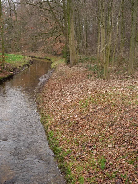 Castillo Bosque Muensterland Alemán — Foto de Stock