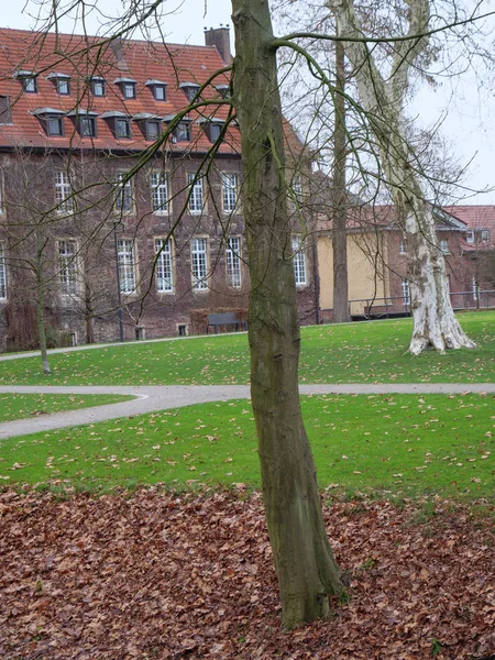 Kasteel Bos Het Duitse Münsterland — Stockfoto