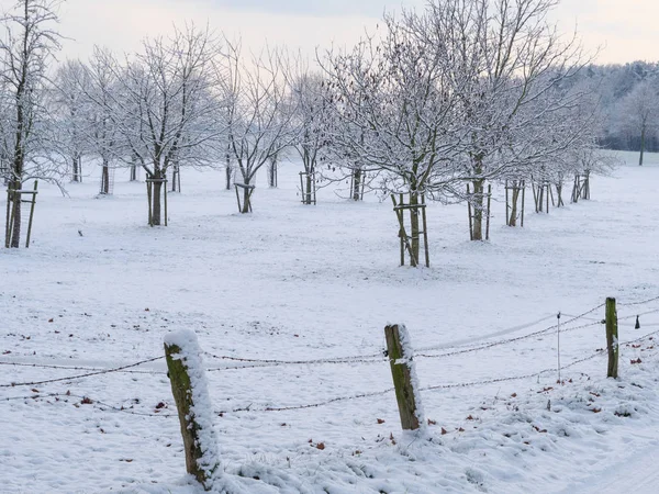 Wintertijd Het Duitse Muensterland — Stockfoto