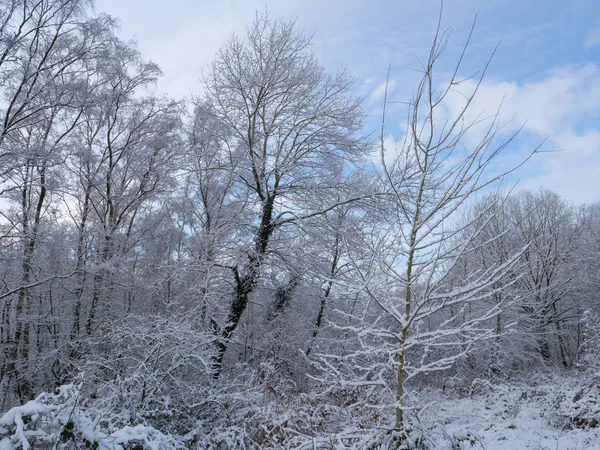 Зимовий Час Німецьких Землях — стокове фото