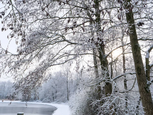 Wintertijd Het Duitse Muensterland — Stockfoto