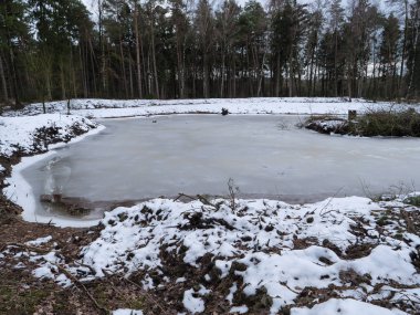 Alman ormanlarında kış mevsimi