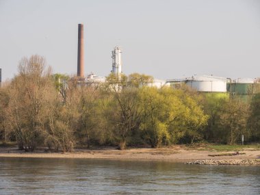 Almanya 'da Ren Nehri üzerinde nehir gezisi