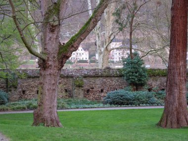 Almanya 'da Ren Nehri üzerinde nehir gezisi