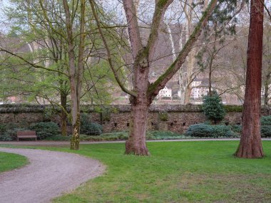 Almanya 'da Ren Nehri üzerinde nehir gezisi