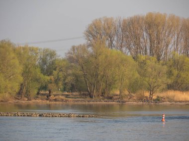 Almanya 'da Ren Nehri üzerinde nehir gezisi