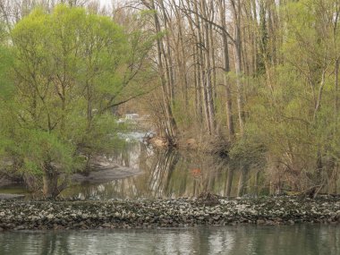 Almanya 'da Ren Nehri üzerinde nehir gezisi