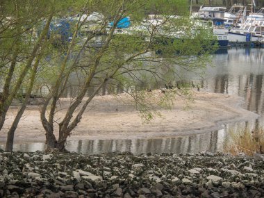 Almanya 'da Ren Nehri üzerinde nehir gezisi