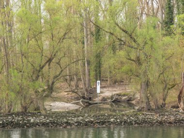 Almanya 'da Ren Nehri üzerinde nehir gezisi