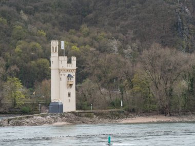 Almanya 'da Ren Nehri üzerinde nehir gezisi