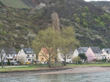 Almanya 'da Ren Nehri üzerinde nehir gezisi